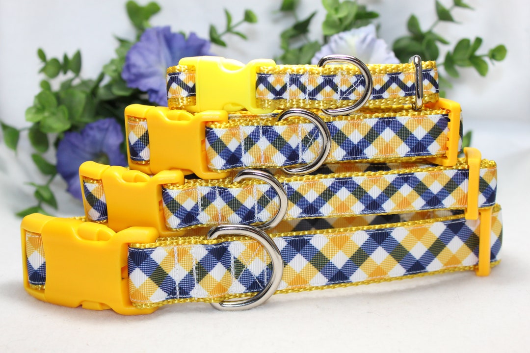 Adjustable Yellow and Blue Plaid Dog Collar Available in 4 Sizes/ Perfect Summer Dog Collar