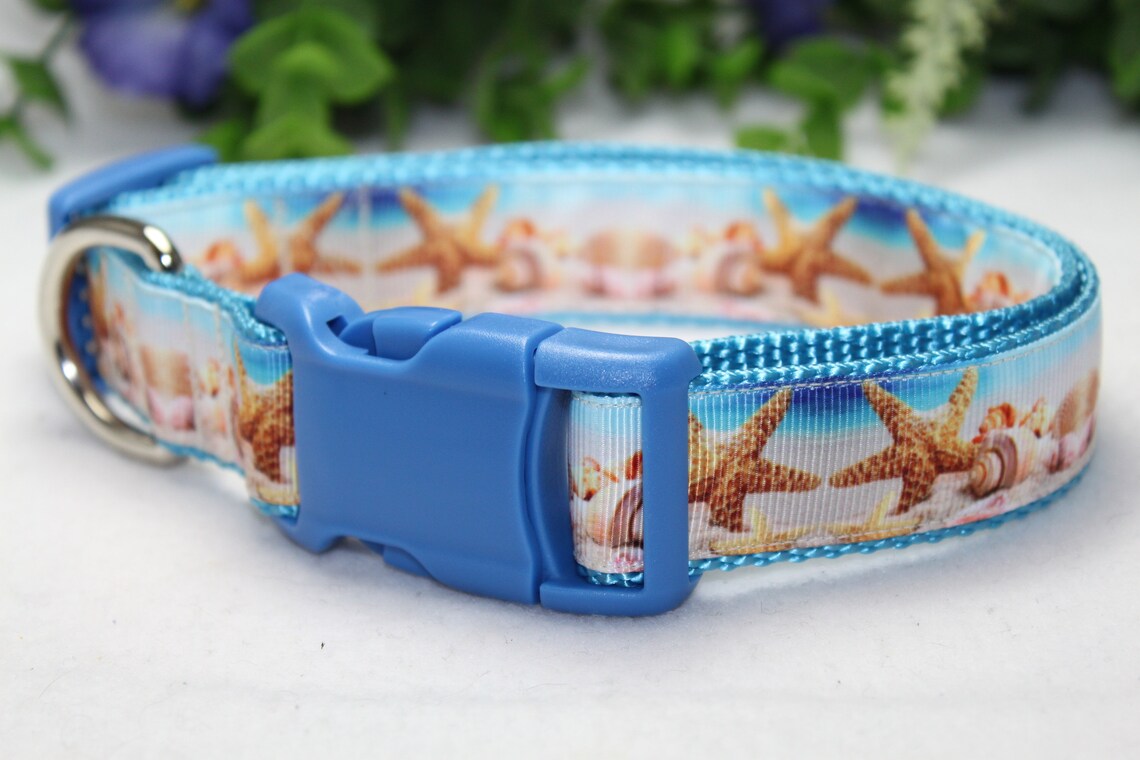 Large Adjustable Dog Collar/ Beach Dog Collar/ Seashell Dog Etsy