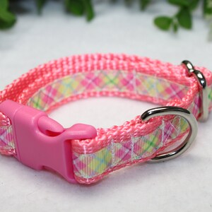 May include: Pink dog collar with a plaid pattern and a silver buckle.