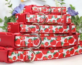 Adjustable Strawberry Dog Collar available in 4 sizes, Summer Dog Collar, Fruity Dog Collar, Girly Dog Collar