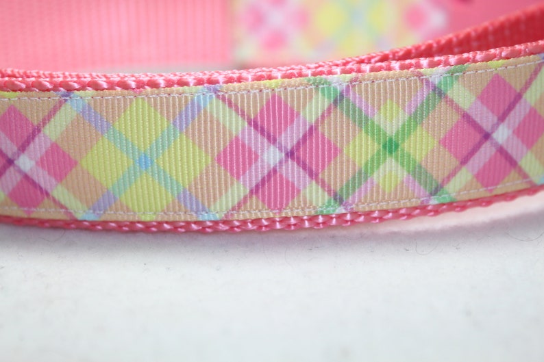 May include: Pink dog collar with a plaid pattern in shades of pink, yellow, green, and blue.