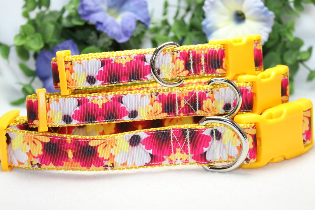 Adjustable Daisy Dog Collar /large Medium Small Dog Etsy