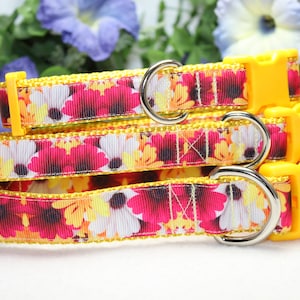 Adjustable Daisy Dog Collar /Large, medium, small dog collar/Colorful Daisy Dog Collar/Girly Dog Collar/Summer Dog Collar/ Floral Dog Collar