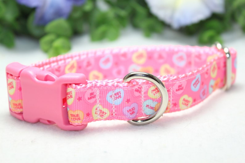 Puede incluir: Collar de perro rosa con fondo blanco y un patr&oacute;n de corazones de caramelo rosa, blanco y azul con diferentes lemas. El collar tiene una hebilla de pl&aacute;stico rosa y un anillo en D de metal plateado.