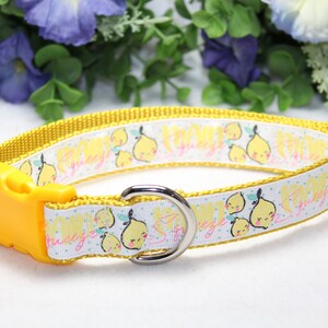 Large Adjustable Lemons Dog Collar, &quot;Main Squeeze&quot; glitter Dog collar, Summer Dog Collar, Fruit Dog Collar, Dog accessory, Girly Dog Collar,