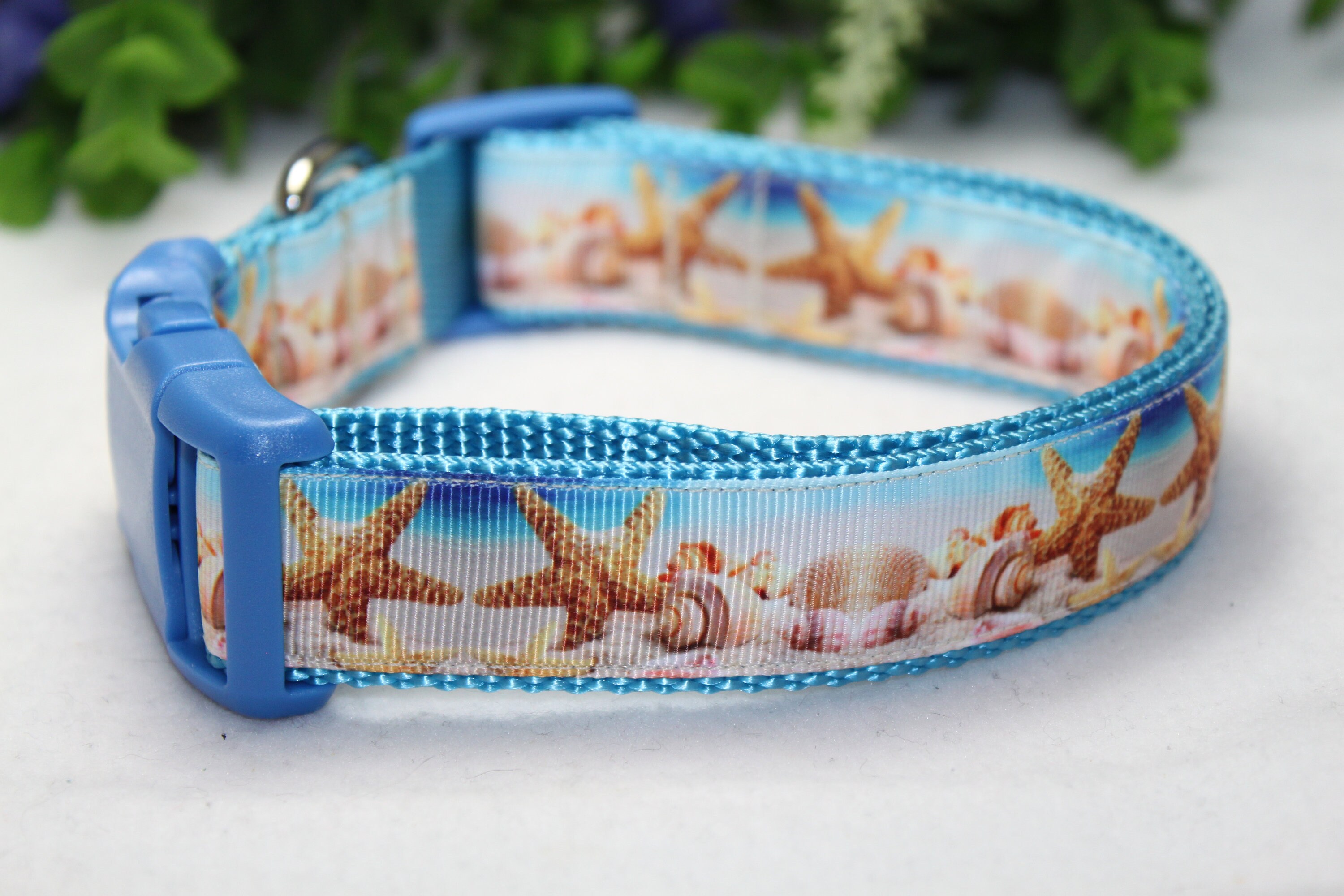 Large Adjustable Dog Collar/ Beach Dog Collar/ Seashell Dog Etsy