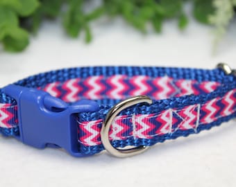 May include: A blue and pink chevron patterned dog collar with a blue plastic buckle and a silver metal D-ring.