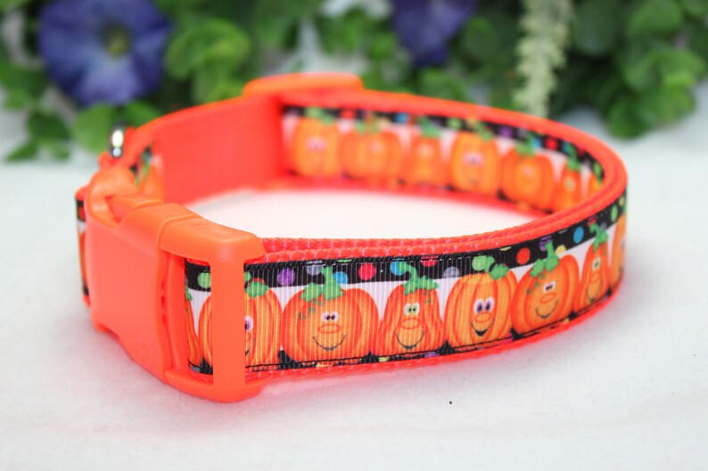 Halloween Dog Collar/ Large Orange Pumpkin Dog Collar/ Large Etsy