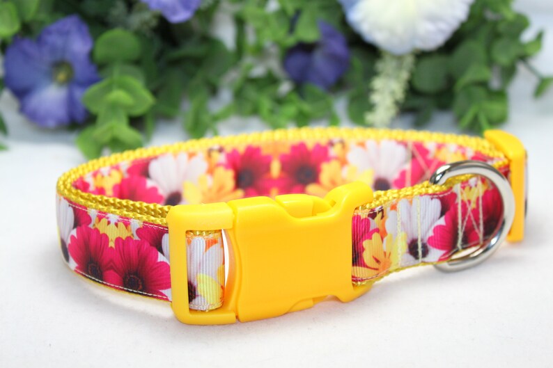 Adjustable Daisy Dog Collar /large Medium Small Dog Etsy