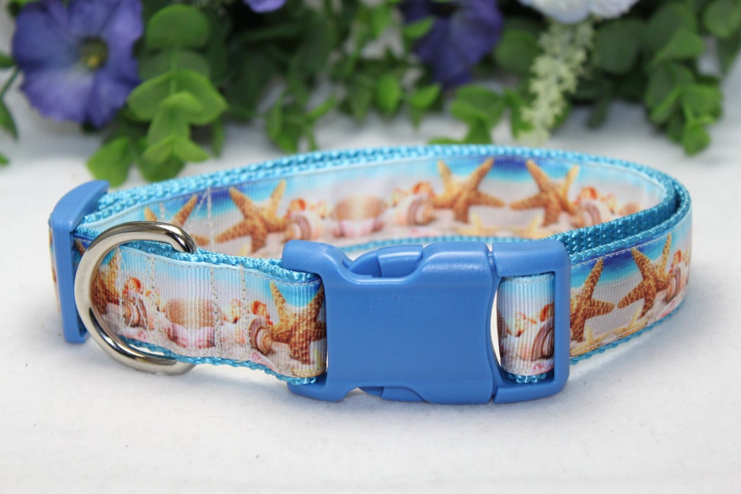 Large Adjustable Dog Collar/ Beach Dog Collar/ Seashell Dog Etsy