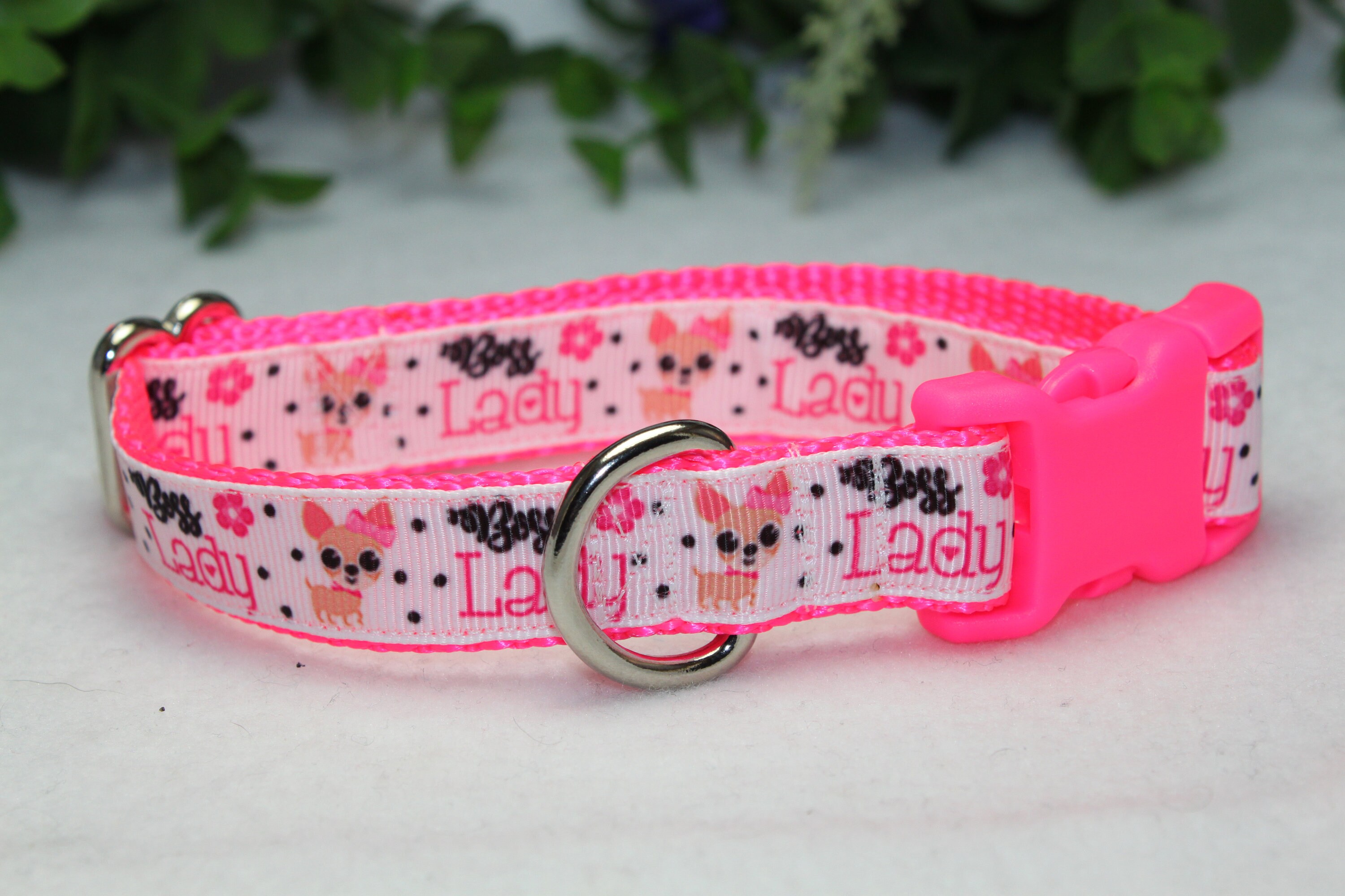 Pink Dog Collar Boss Lady Dog Collar Small Dog Boss Lady Pink Dog Collar Adorable Pink Dog Collar Diva Dog Jewlery Small Dog Collar Etsy