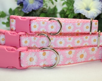 May include: Three pink dog collars with white daisy print and silver D-rings. The collars have pink plastic buckles.