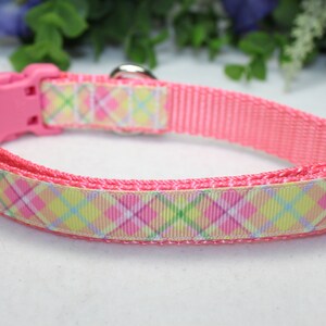 May include: Pink dog collar with a plaid pattern in pink, yellow, and green. The collar has a plastic buckle and a metal D-ring.