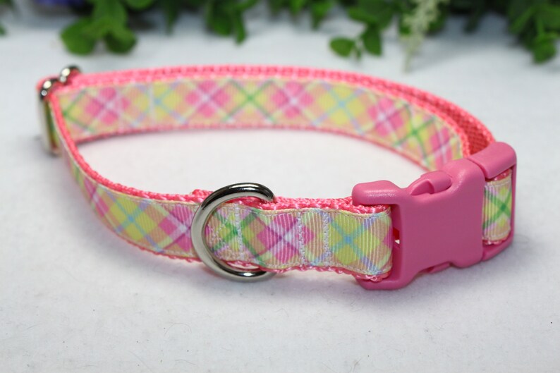 May include: A pink dog collar with a plaid pattern in shades of pink, yellow, and green. The collar has a silver D-ring and a pink plastic buckle.