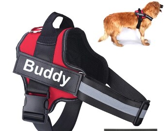 2xl dog harness