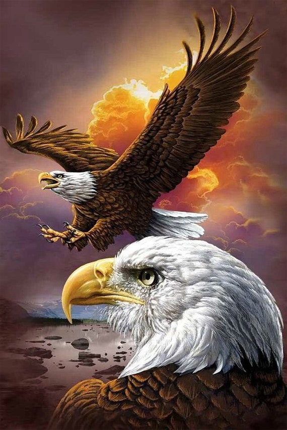 5d Diamond Painting Kit The Eagle Painting Diamond Embroidery Pattern Sticker Full Squareround Drill Cross Stitch Kit Home Decor For Gifts Home Hobby Craft Supplies Tools Kromasol Com