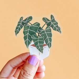 Alocasia Frydek Clear Sticker | Klare Aufkleber | Pflanzen Sticker