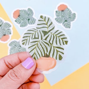 Calathea Orbifolia Clear Sticker | Klare Sticker | Pflanzen Sticker