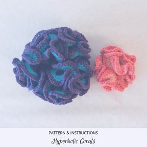 May include: Two crocheted coral sculptures, one large and purple with teal accents, and one smaller and pink. The text "Hyperbolic Corals" is below the image.