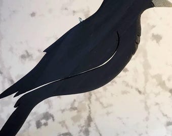 Crow, American Crow