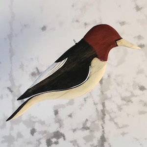 Woodpecker, Red-Headed Woodpecker