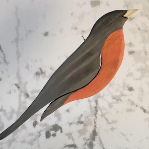 Robin, American Robin