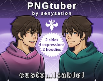 Customizable PNGtuber model 16 FILES - brown hair