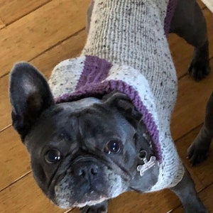 Dog Hoodie, Hand Knitted Dog Hoodie, knitted dog jumper, Puppy Fashion, Dog Treats, Dog present, Puppy gifts, Puppy jumper, Wooly dog jumper image 5