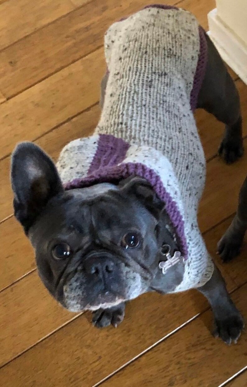 Dog Hoodie, Hand Knitted Dog Hoodie, knitted dog jumper, Puppy Fashion, Dog Treats, Dog present, Puppy gifts, Puppy jumper, Wooly dog jumper image 5