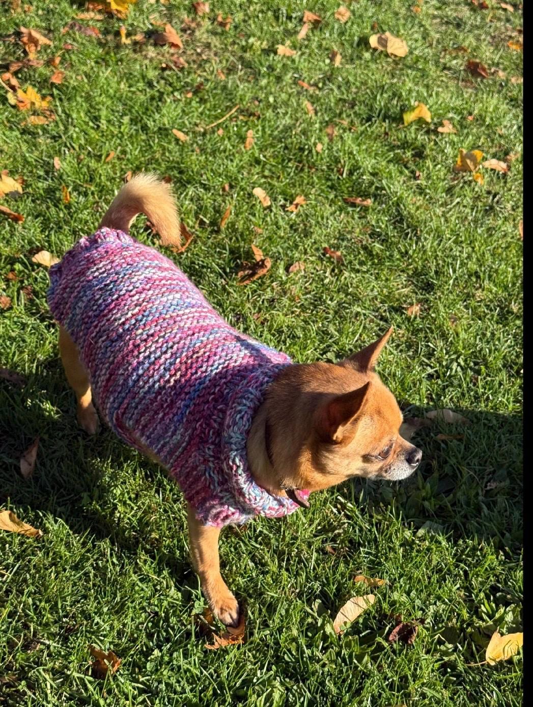 Dog Jumper, Hand knitted dog jumper, Puppy jumper, Pet Clothing, Dog Clothing Accessories, woolly dog jumper, Pooch Clothing, Dog Gift