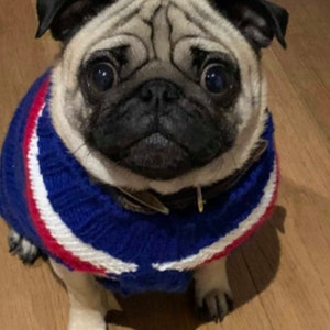 Hand Knitted Dog Jumper, Woolly dog jumper, Puppy Treat, Dog Treats, Pooch fashion accessories, Winter dog jumper, Dog clothing, Dog Fashion