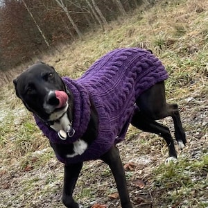 Hand Knitted Cable Dog Jumper, Puppy knitter jumper, Hand knitter pooch jumper, Dog Gift, Puppy treats, Pet gifts, Pooch fashion must have