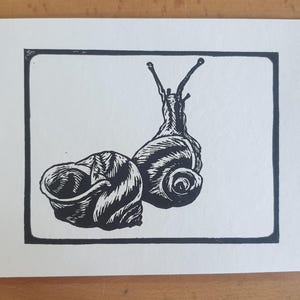 Escargot en linogravure