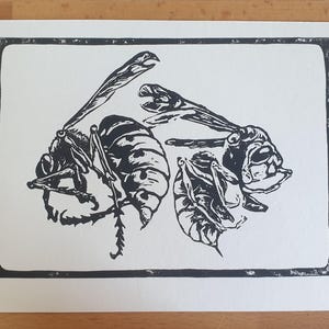 Frelons en linogravure