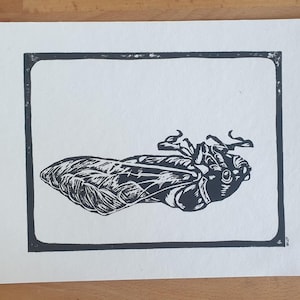 Cigale en linogravure