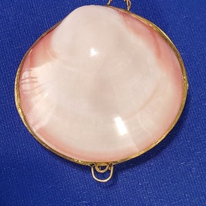 May include: A pink seashell pendant with a gold-toned metal frame and a loop for hanging.