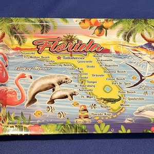 Florida kaart blikken dienblad