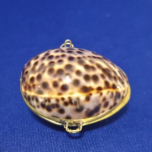 May include: A small, oval-shaped locket or container crafted from a polished tiger cowrie shell with its characteristic brown spotted pattern. The shell is encased in a thin, gold-toned metal frame with a small hinge and a wire loop at the top.