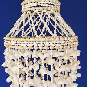 Shell Chandelier With Moon Shells
