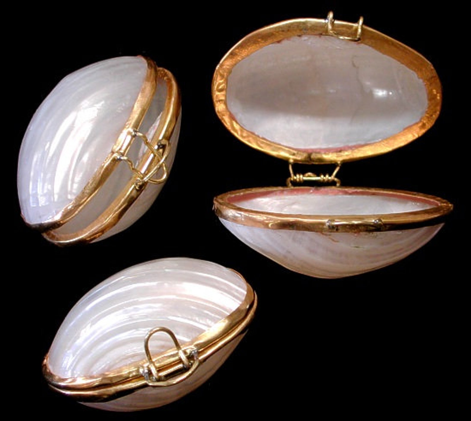 Silver Turbo Seashell Pill Box - Etsy