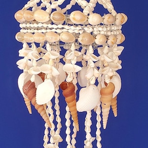 16&quot; Turitella Seashell Chandelier