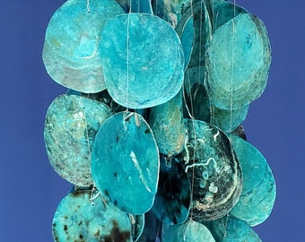 Blue Placuna Seashell Chandelier