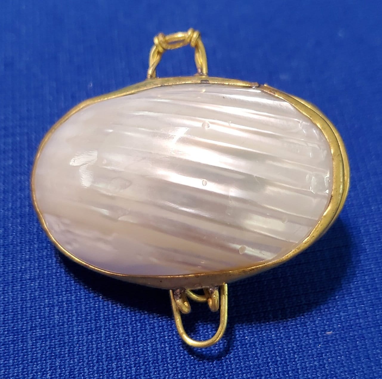 Silver Turbo Seashell Pill Box