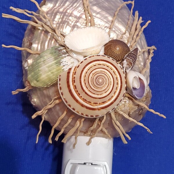 Seashell Night Light Etsy