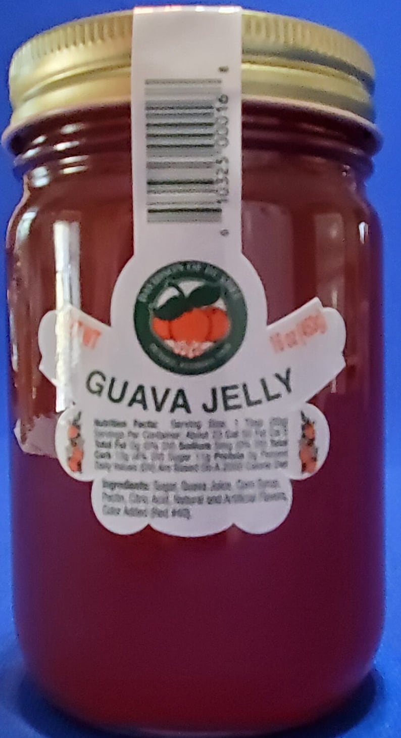 Homemade Guava Jelly: Tropical Fruit Preserve (16 Oz) - Etsy