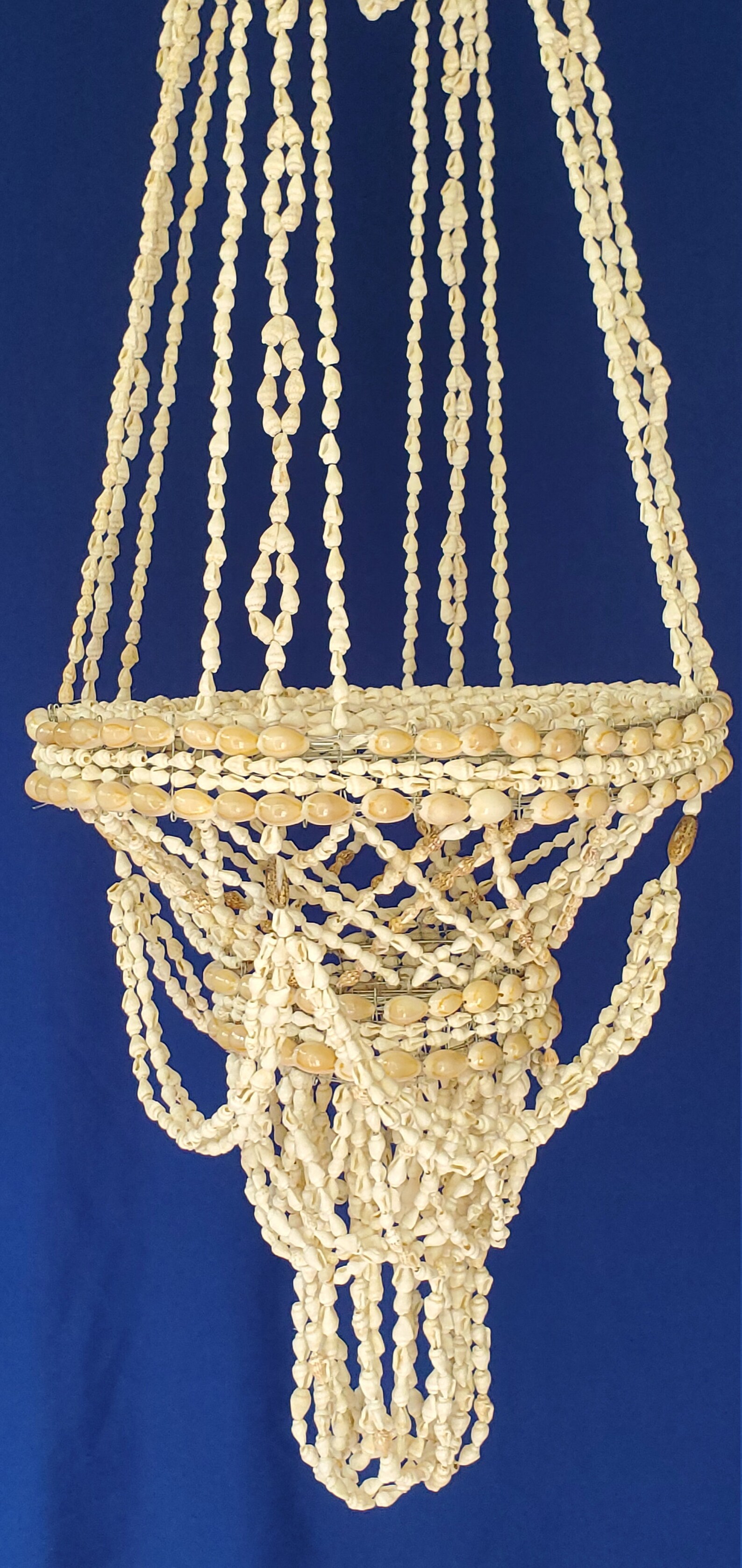Seashell Plant Holder - Etsy