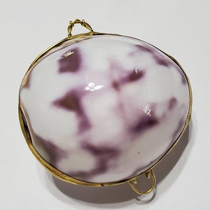 Polished Purple Tiger Cowry Shell Pill Box