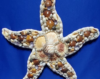 Décoration murale étoile de mer coquillage