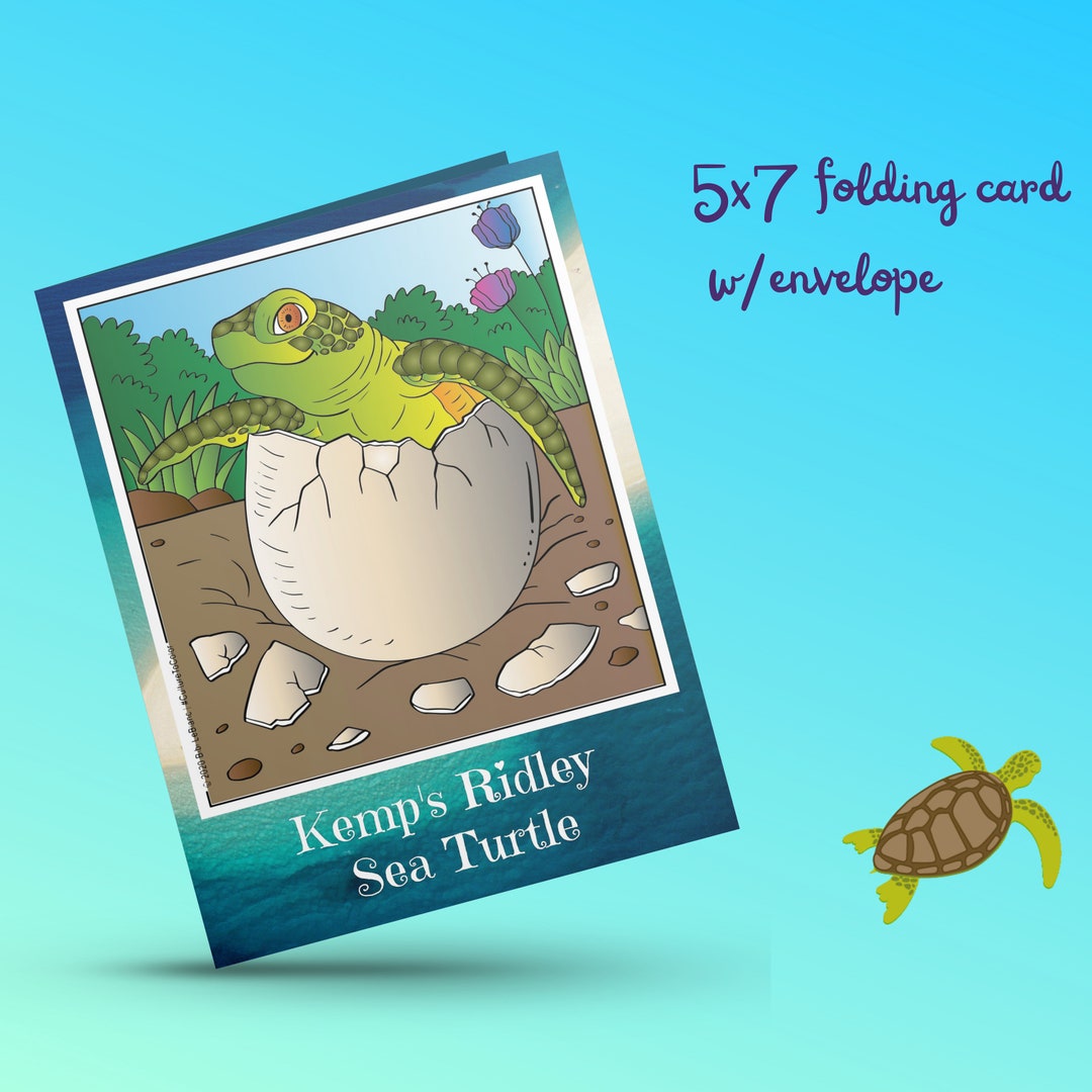 Card: Kemp's Ridley Sea Turtle (from Coloring Book "endangered Animals ...