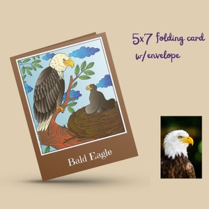 Card: Bald Eagle (from coloring book &quot;Endangered Animals of North America&quot;)